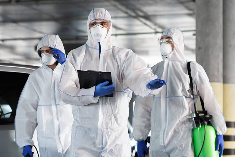 Servicii Deratizare Dezinsectie Dezinfectie