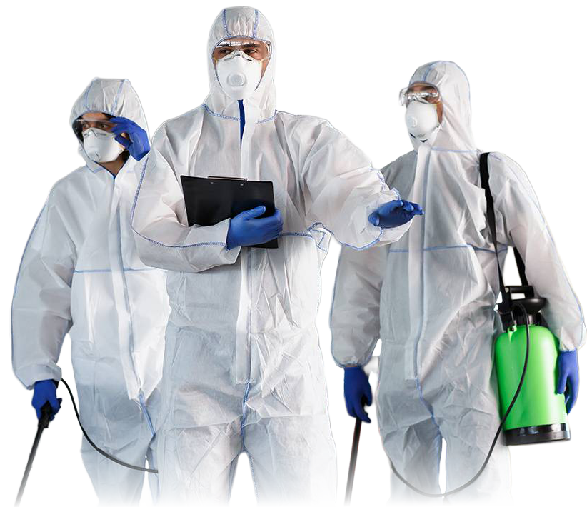 Deratizare Dezinsectie Dezinfectie 11 1