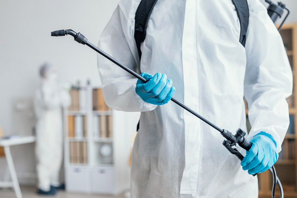 Deratizare Dezinsectie Dezinfectie 6